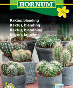 Kaktusfrø blanding til indendørs dyrkning – Blomsterfrø