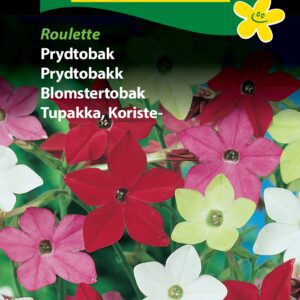 Prydtobak blomsterfrø – Roulette blanding – Blomsterfrø
