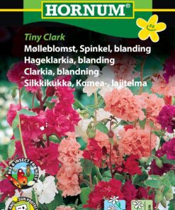 Mølleblomst – Blanding – Blomsterfrø