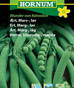 Ærter – “Wunder von Kelvedon” Meget kendt og udbytterig marvært – Grøntsagsfrø