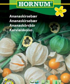 Ananaskirsebær frø – Dekorative og delikate – Grøntsagsfrø