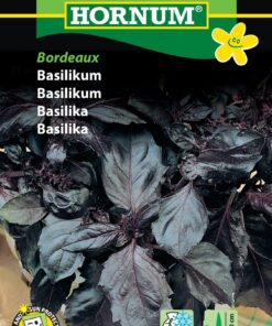 Basilikum frø – Rød basilikum – Bordeaux
