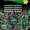 Blodkløver blomsterfrø – Grøngødning