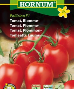Tomatfrø Blommetomat – Middeltidlig og modstandsdygtig – Grøntsagsfrø