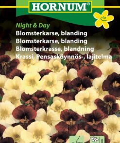 Blomsterkarse blanding “Night and Day” – Blomsterfrø