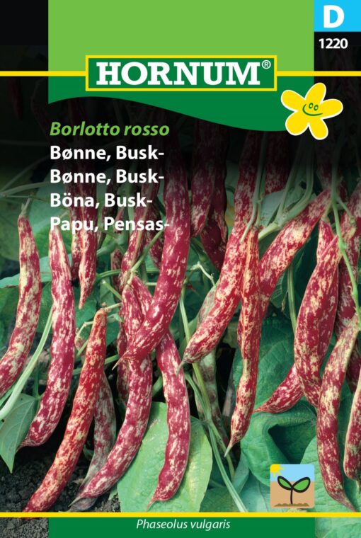 Buskbønne “Borlotto Rosso” Hvide / Røde Bønner – Grøntsagsfrø