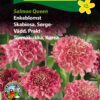 Enkeblomst – Salmon Queen – Duftende blomster i rosa nuancer – Blomsterfrø.