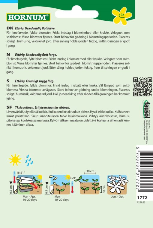 Frøkenhat Limegrøn – Green Envy – Usædvanlig farve – Blomsterfrø