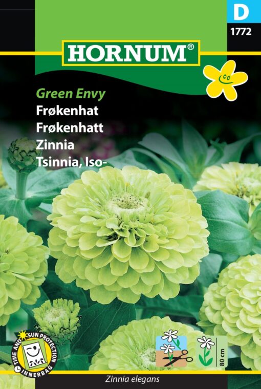 Frøkenhat Limegrøn – Green Envy – Usædvanlig farve – Blomsterfrø