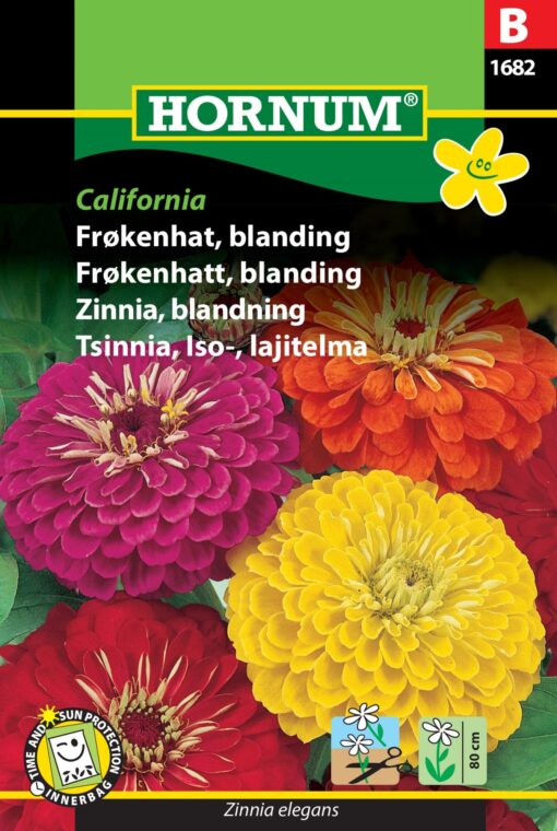 Frøkenhat blanding “California” – Store farveige frøkenhat – Blomsterfrø