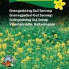 Gul Sennep Grøngødning – Blomsterfrø