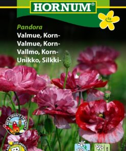 Kornvalmue frø “Pandora” – Smukke farvekombinationer – Blomsterfrø