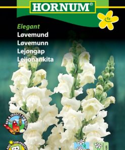 Løvemund Hvid “Elegant” – Blomsterfrø