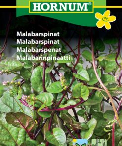 Malabarspinat frø – Velsmagende og dekorativ – Grøntsagsfrø