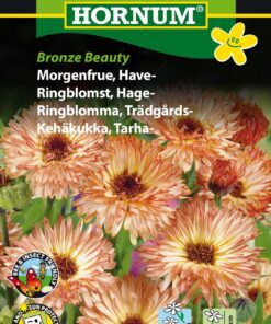 Morgenfrue Bronzefarvet “Bronze Beauty” – Blomsterfrø