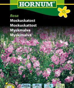 Moskuskatost, Rosa – Flerårig blomsterglæde – Blomsterfrø