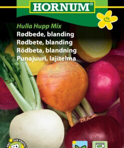 Rødbedefrø – Farverig blanding “Hulla Hupp Mix” – Grøntsagsfrø