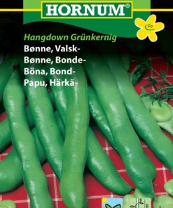 Valskbønne “Hangdown Grünkernig” – Grøntsagsfrø