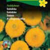 Solsikke frø – Lave solsikker. Fyldte og tidlige “Teddybear” – Blomsterfrø