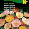 Valmuefrø Magic Wonder – Valmuer i smukke sarte farver – Blomsterfrø