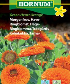 Morgenfrue frø “Green Heart Orange” – Blomsterfrø