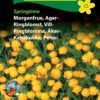 Morgenfrue frø til Ager-morgenfrue – Blomsterfrø
