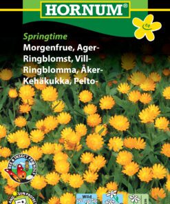 Morgenfrue frø til Ager-morgenfrue – Blomsterfrø