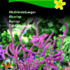 Askhindebæger – Smukke svungne blomsterstængler – Blomsterfrø