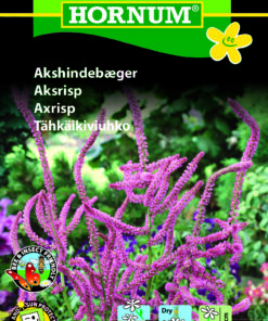 Askhindebæger – Smukke svungne blomsterstængler – Blomsterfrø