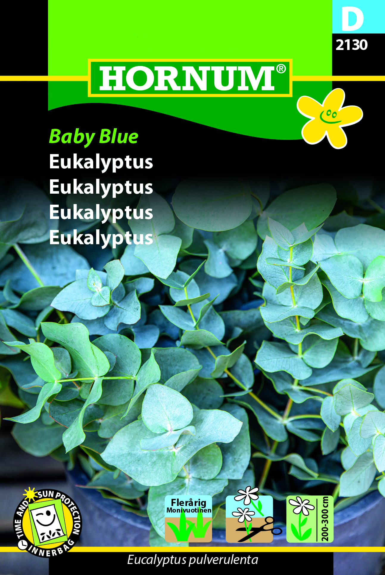Eukalyptus "Blue baby" - Eucalyptus pulverulenta - Blomsterfrø