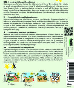 Kongeskærm “Graceland” – Kongekommen – Blomsterfrø
