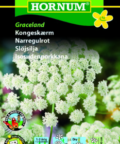 Kongeskærm “Graceland” – Kongekommen – Blomsterfrø