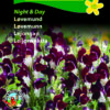 Løvemund “Night and Day” – Usædvanlig farvekombination – Blomsterfrø