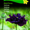 Valmuefrø “Black Paeony” – Valmue i helt speciel farve – Blomsterfrø