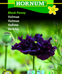 Valmuefrø “Black Paeony” – Valmue i helt speciel farve – Blomsterfrø