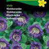 Klokkeranke Viola – kraftig voksende klatreplante- Blomsterfrø