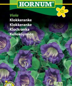 Klokkeranke Viola – kraftig voksende klatreplante- Blomsterfrø