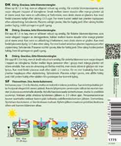 Jernurt – Kæmpe – frø