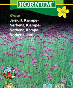 Jernurt – Kæmpe – frø