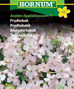 Prydtobak “Avalon Appleblossom” – sart lyserød sommerblomst – Blomsterfrø