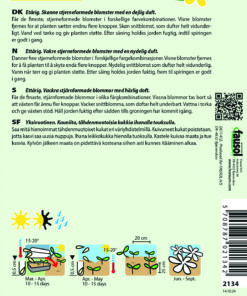 Floks blomsterfrø – Twinkle Stars mix – Sommerblanding – Blomsterfrø