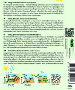 Guldvalmuefrø “Frilled Rose” – Valmue i sarte rosa nuancer – minder om en rose – Blomsterfrø