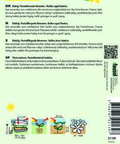 Hindebæger / Statice – Vinget Pastel Mix – Blomsterfrø
