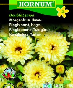 Morgenfrue frø “Double Lemon” blomsterfrø