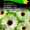 Morgenfrue frø “Ivory Princess” blomstervillige blomsterfrø