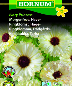 Morgenfrue frø “Ivory Princess” blomstervillige blomsterfrø