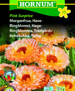 Morgenfrue frø “Pink Surprise” – blomsterfrø selvsående