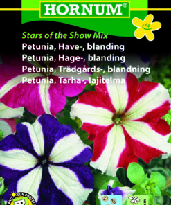 Petunia “Stars of the Snow” stribede blomster – blomsterfrø