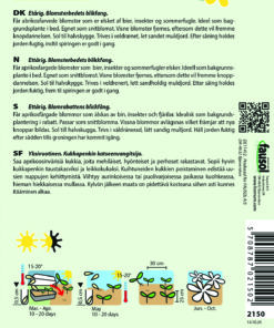 Stolt Kavaler “Apricotta” Abikosfarvede blomster – Blomsterfrø