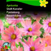 Stolt Kavaler “Apricotta” Abikosfarvede blomster – Blomsterfrø